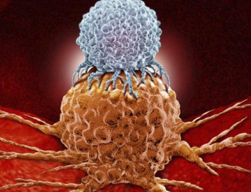 Togliere il freno al sistema immunitario: lo studio COMBAT